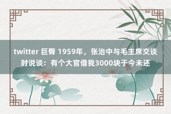 twitter 巨臀 1959年，张治中与毛主席交谈时说谈：有个大官借我3000块于今未还