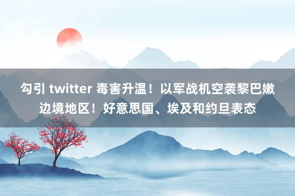 勾引 twitter 毒害升温！以军战机空袭黎巴嫩边境地区！好意思国、埃及和约旦表态