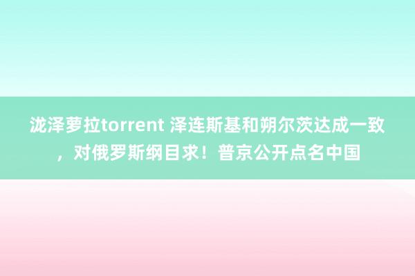 泷泽萝拉torrent 泽连斯基和朔尔茨达成一致，对俄罗斯纲目求！普京公开点名中国