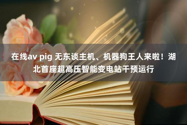 在线av pig 无东谈主机、机器狗王人来啦！湖北首座超高压智能变电站干预运行