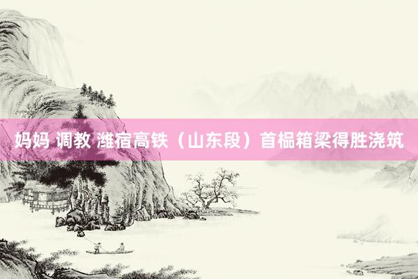 妈妈 调教 潍宿高铁（山东段）首榀箱梁得胜浇筑