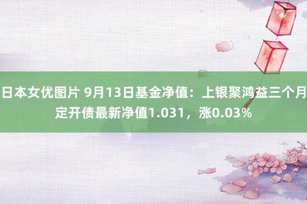 日本女优图片 9月13日基金净值：上银聚鸿益三个月定开债最新净值1.031，涨0.03%