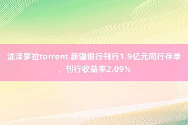 泷泽萝拉torrent 新疆银行刊行1.9亿元同行存单，刊行收益率2.09%