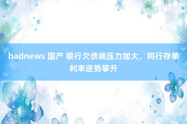 badnews 国产 银行欠债端压力加大，同行存单利率逆势攀升