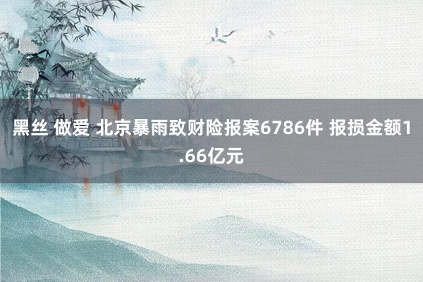 黑丝 做爱 北京暴雨致财险报案6786件 报损金额1.66亿元