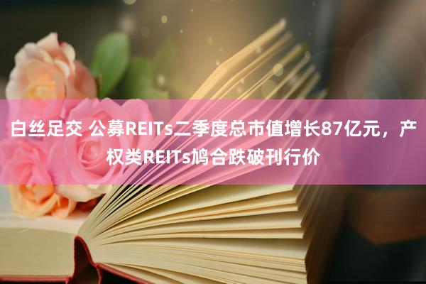 白丝足交 公募REITs二季度总市值增长87亿元，产权类REITs鸠合跌破刊行价