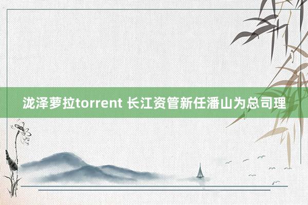 泷泽萝拉torrent 长江资管新任潘山为总司理