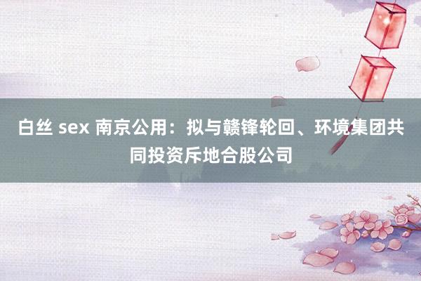 白丝 sex 南京公用：拟与赣锋轮回、环境集团共同投资斥地合股公司