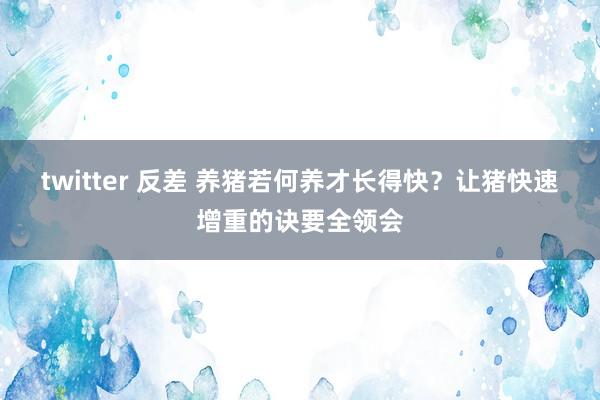 twitter 反差 养猪若何养才长得快？让猪快速增重的诀要全领会