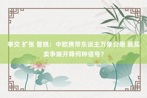 拳交 扩张 管姚：中欧携带东谈主万象会晤 就买卖争端开释何种信号？