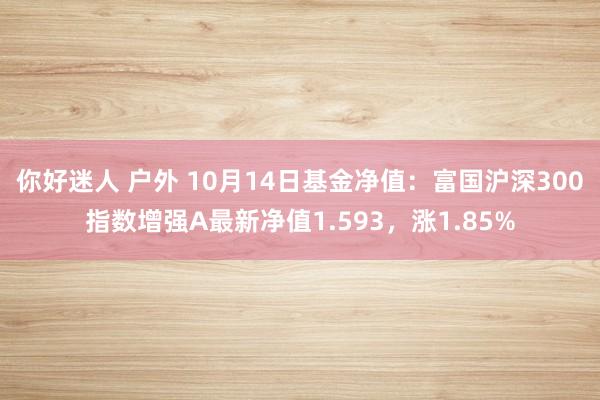 你好迷人 户外 10月14日基金净值：富国沪深300指数增强A最新净值1.593，涨1.85%