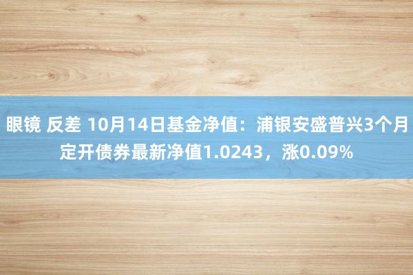 眼镜 反差 10月14日基金净值：浦银安盛普兴3个月定开债券最新净值1.0243，涨0.09%