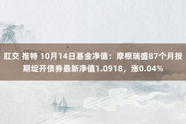 肛交 推特 10月14日基金净值：摩根瑞盛87个月按期绽开债券最新净值1.0918，涨0.04%