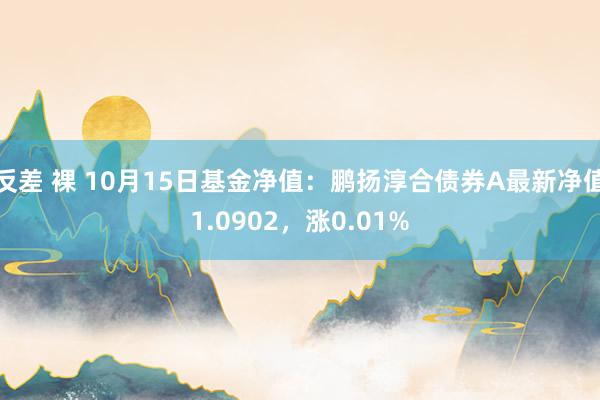 反差 裸 10月15日基金净值：鹏扬淳合债券A最新净值1.0902，涨0.01%