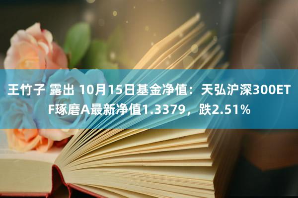 王竹子 露出 10月15日基金净值：天弘沪深300ETF琢磨A最新净值1.3379，跌2.51%