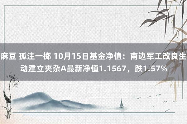 麻豆 孤注一掷 10月15日基金净值：南边军工改良生动建立夹杂A最新净值1.1567，跌1.57%