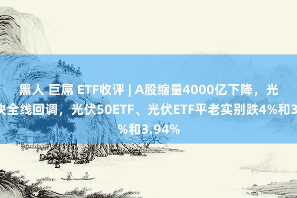 黑人 巨屌 ETF收评 | A股缩量4000亿下降，光伏板块全线回调，光伏50ETF、光伏ETF平老实别跌4%和3.94%