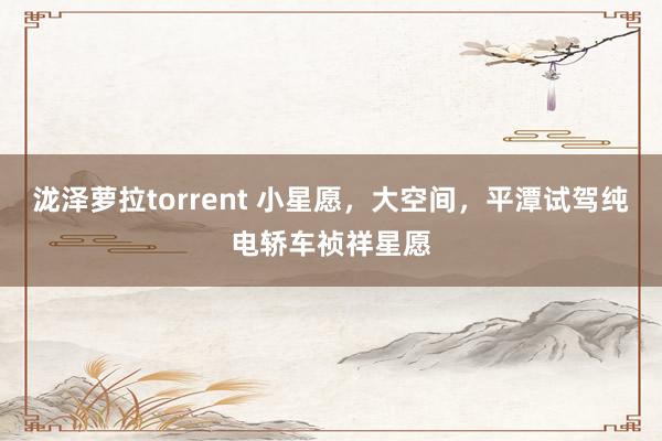 泷泽萝拉torrent 小星愿，大空间，平潭试驾纯电轿车祯祥星愿