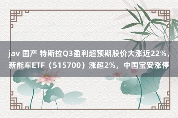 jav 国产 特斯拉Q3盈利超预期股价大涨近22%，新能车ETF（515700）涨超2%，中国宝安涨停