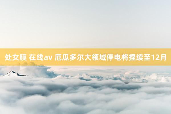 处女膜 在线av 厄瓜多尔大领域停电将捏续至12月