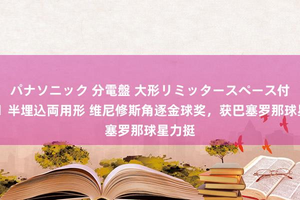 パナソニック 分電盤 大形リミッタースペース付 露出・半埋込両用形 维尼修斯角逐金球奖，获巴塞罗那球星力挺