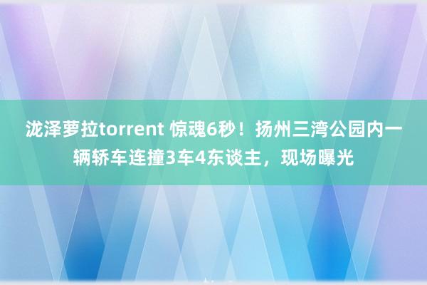 泷泽萝拉torrent 惊魂6秒！扬州三湾公园内一辆轿车连撞3车4东谈主，现场曝光