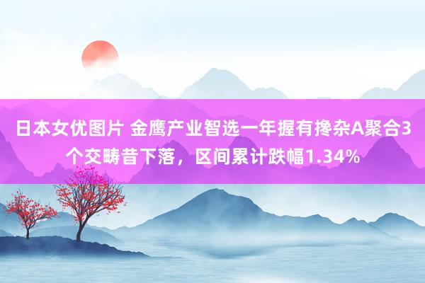 日本女优图片 金鹰产业智选一年握有搀杂A聚合3个交畴昔下落，区间累计跌幅1.34%