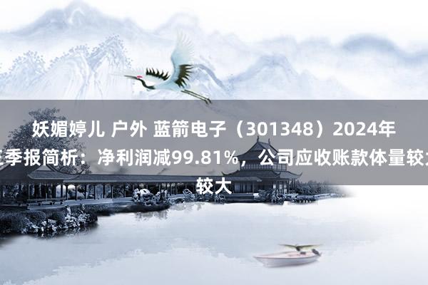 妖媚婷儿 户外 蓝箭电子（301348）2024年三季报简析：净利润减99.81%，公司应收账款体量较大