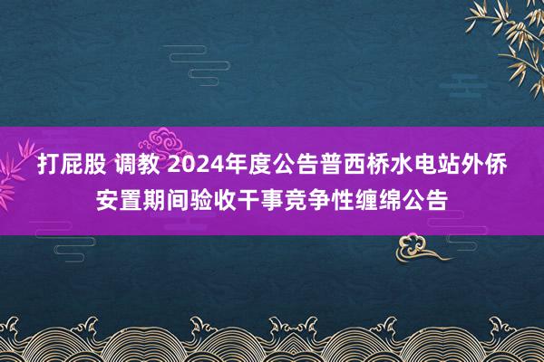 打屁股 调教 2024年度公告普西桥水电站外侨安置期间验收干事竞争性缠绵公告