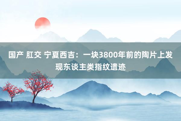 国产 肛交 宁夏西吉：一块3800年前的陶片上发现东谈主类指纹遗迹