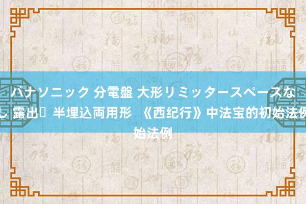 パナソニック 分電盤 大形リミッタースペースなし 露出・半埋込両用形  《西纪行》中法宝的初始法例