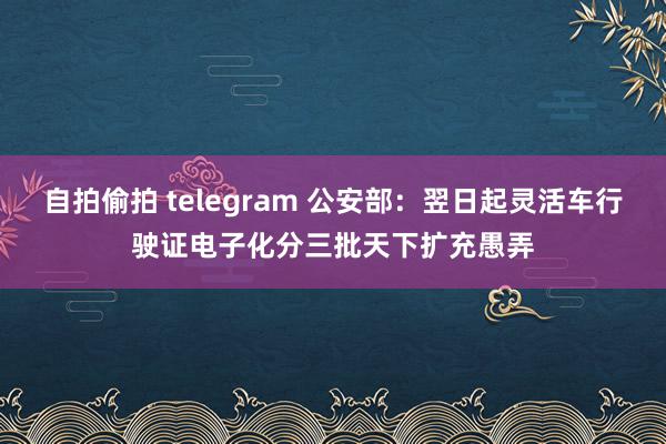 自拍偷拍 telegram 公安部：翌日起灵活车行驶证电子化分三批天下扩充愚弄