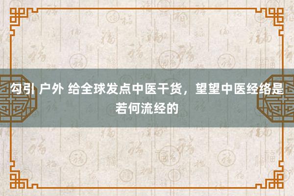 勾引 户外 给全球发点中医干货，望望中医经络是若何流经的