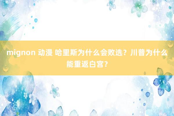 mignon 动漫 哈里斯为什么会败选？川普为什么能重返白宫？