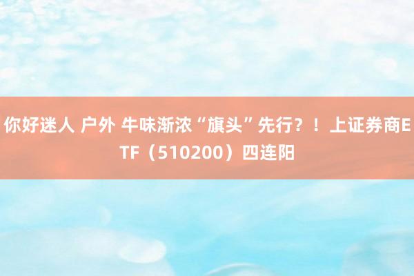 你好迷人 户外 牛味渐浓“旗头”先行？！上证券商ETF（510200）四连阳