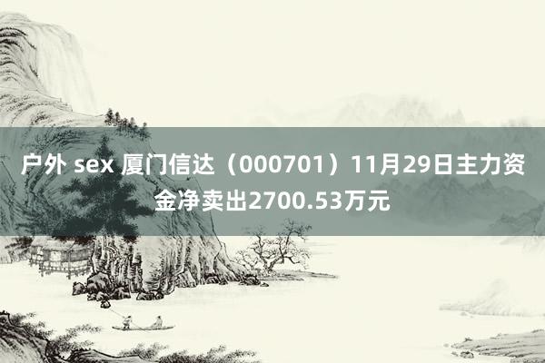 户外 sex 厦门信达（000701）11月29日主力资金净卖出2700.53万元