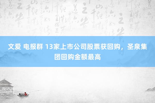 文爱 电报群 13家上市公司股票获回购，圣泉集团回购金额最高