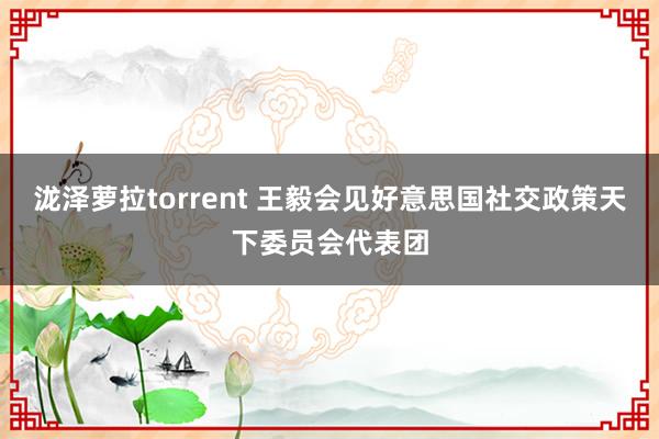 泷泽萝拉torrent 王毅会见好意思国社交政策天下委员会代表团