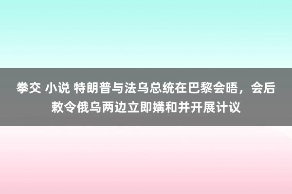 拳交 小说 特朗普与法乌总统在巴黎会晤，会后敕令俄乌两边立即媾和并开展计议