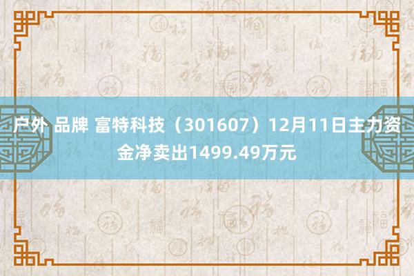 户外 品牌 富特科技（301607）12月11日主力资金净卖出1499.49万元