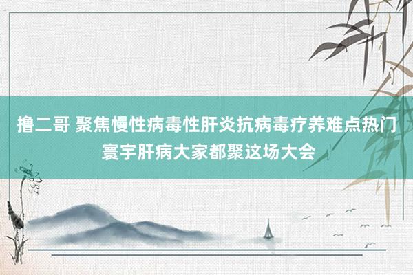 撸二哥 聚焦慢性病毒性肝炎抗病毒疗养难点热门 寰宇肝病大家都聚这场大会