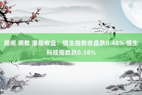 捆绑 调教 港股收盘：恒生指数收盘跌0.48% 恒生科技指数跌0.58%