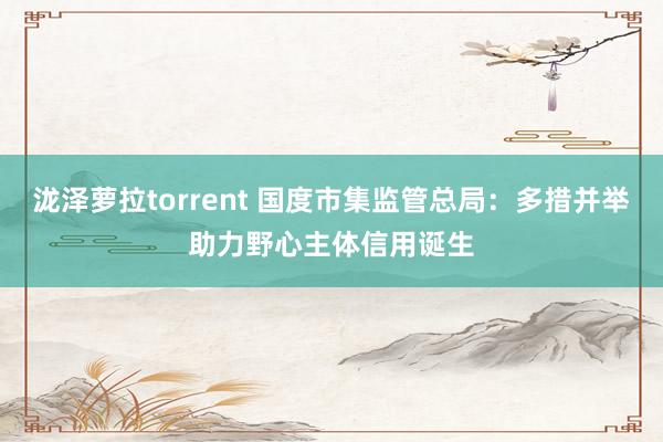 泷泽萝拉torrent 国度市集监管总局：多措并举助力野心主体信用诞生