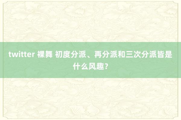 twitter 裸舞 初度分派、再分派和三次分派皆是什么风趣？