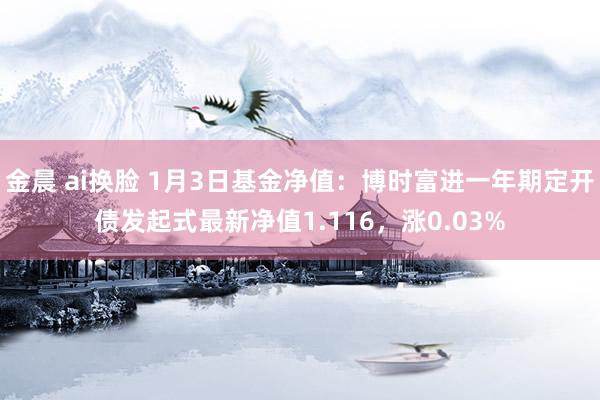 金晨 ai换脸 1月3日基金净值：博时富进一年期定开债发起式最新净值1.116，涨0.03%