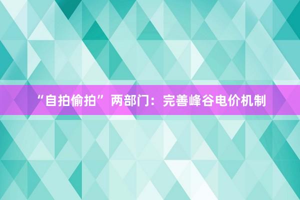 “自拍偷拍” 两部门：完善峰谷电价机制