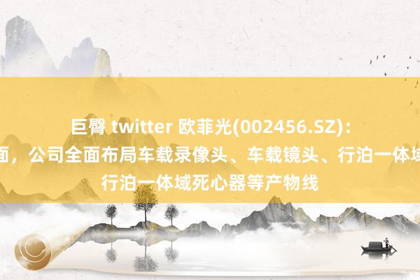 巨臀 twitter 欧菲光(002456.SZ)：智能驾驶系统方面，公司全面布局车载录像头、车载镜头、行泊一体域死心器等产物线