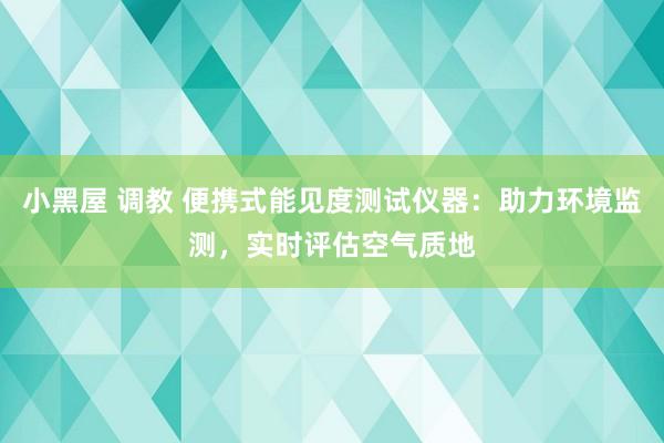 小黑屋 调教 便携式能见度测试仪器：助力环境监测，实时评估空气质地