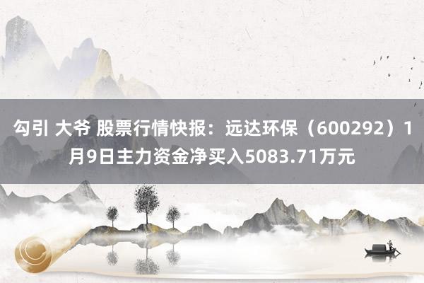 勾引 大爷 股票行情快报：远达环保（600292）1月9日主力资金净买入5083.71万元