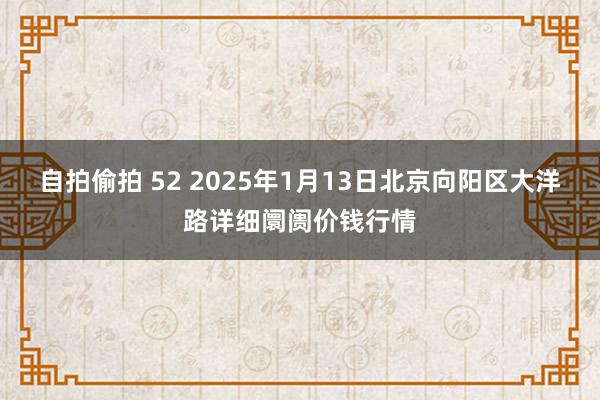 自拍偷拍 52 2025年1月13日北京向阳区大洋路详细阛阓价钱行情